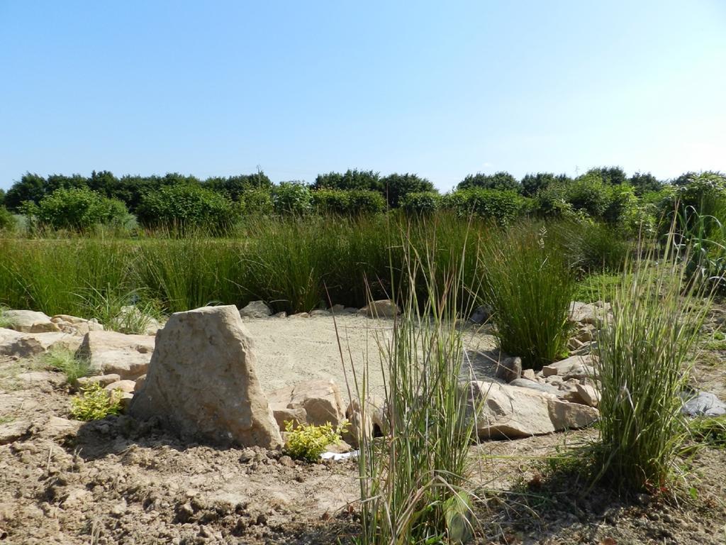 Gite La Grenouillere Esqueheries Exterior photo