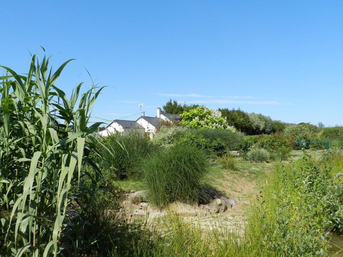 Gite La Grenouillere Esqueheries Exterior photo